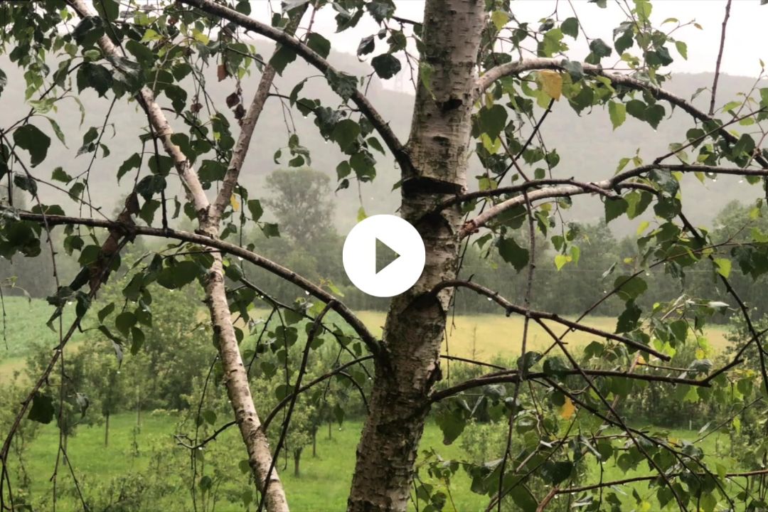 The Minister of Economy, Energy and Business Environment (MAT)