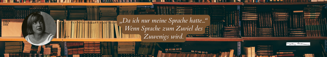 A X-a conferință internațională interdisciplinară a Departamentului de Limbi și Literaturi Germanice